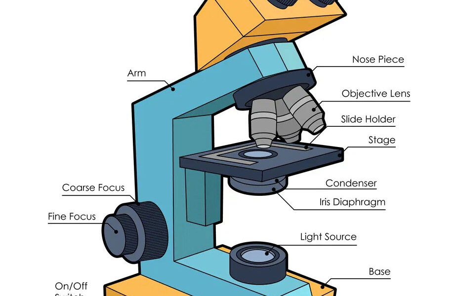 Microscope diagram