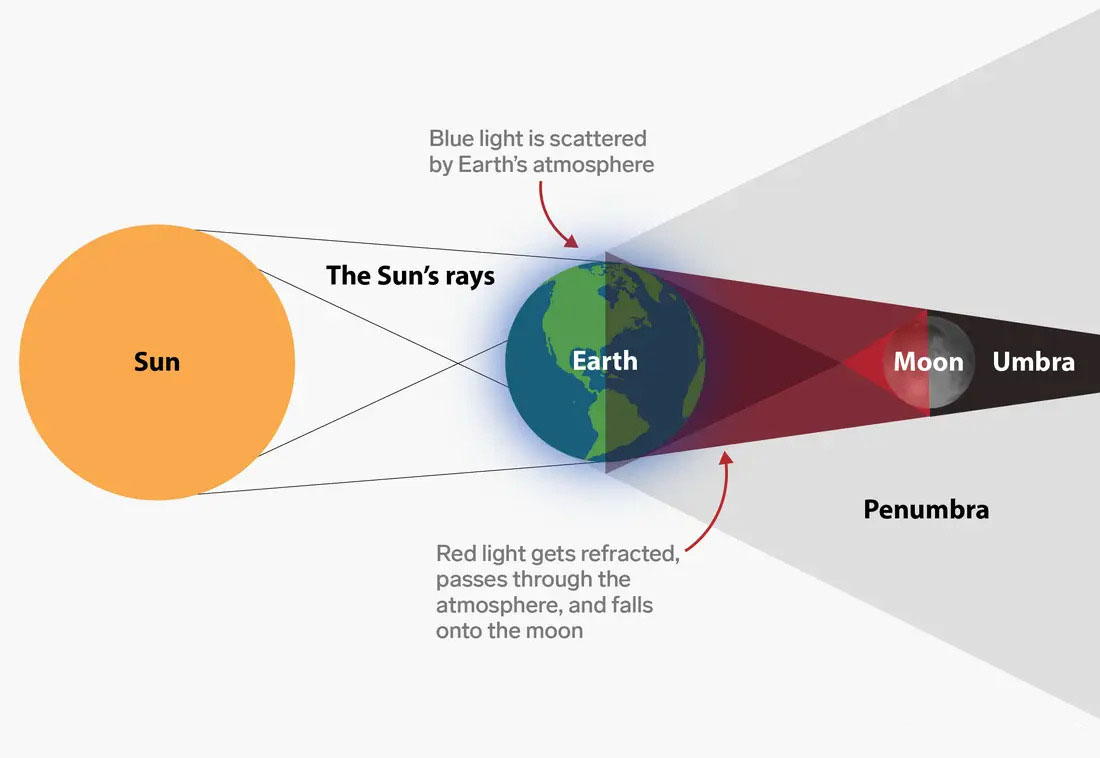 Lunar Eclipse Labeled Diagram Anatomy And Structure Lunar Eclipse Labeled Diagram Anatomy And Structure