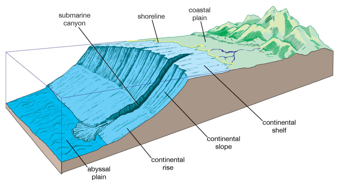 Ocean Floor diagram