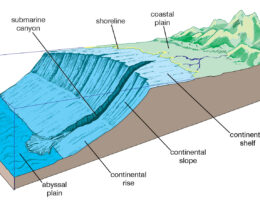 Ocean Floor diagram