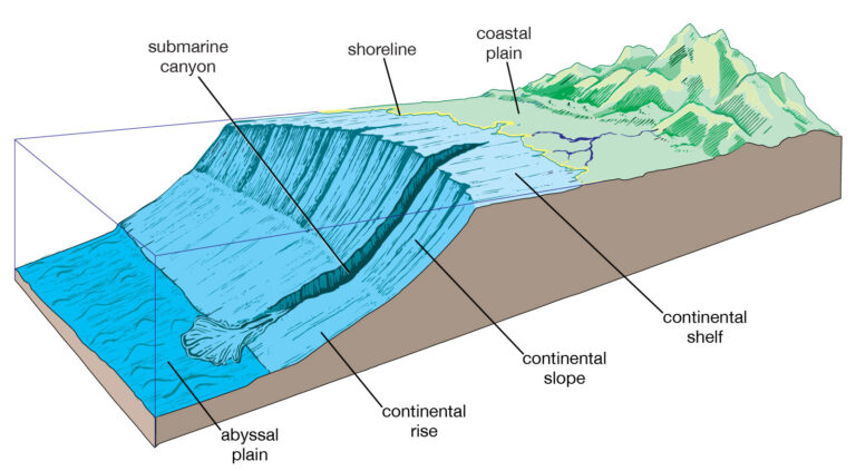 Ocean Floor diagram