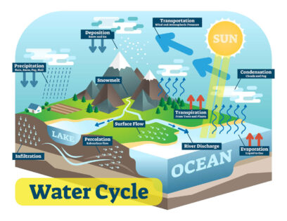 Water cycle diagram
