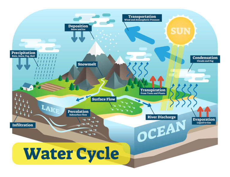 Water cycle diagram