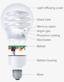 Fluorescent Light Bulb diagram