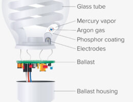 Fluorescent Light Bulb diagram