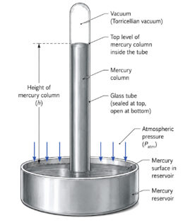 Mercury Barometer labeled diagram