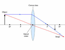 optics labelled diagram