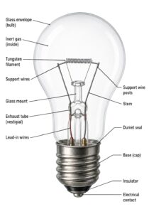 Light Bulb Parts labeled diagram